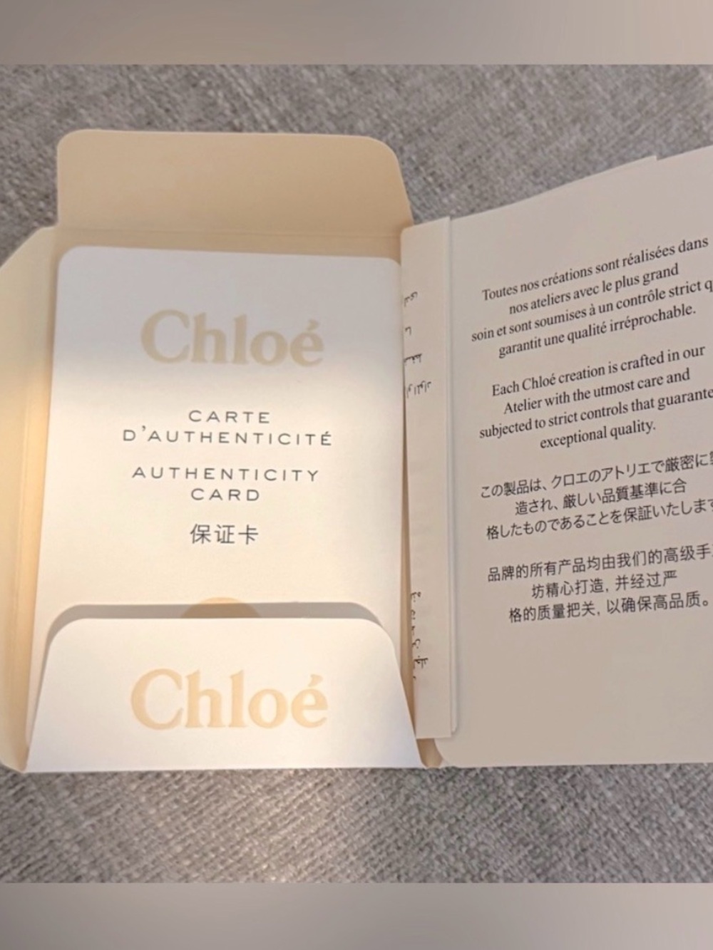 Chloe Mini Woody Bag - Picture 4 of 4